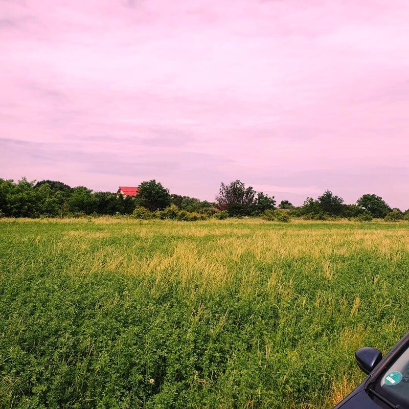 Bolentin Vale, Crivina