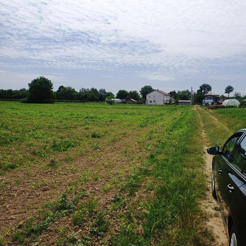 Bolentin Vale, Crivina